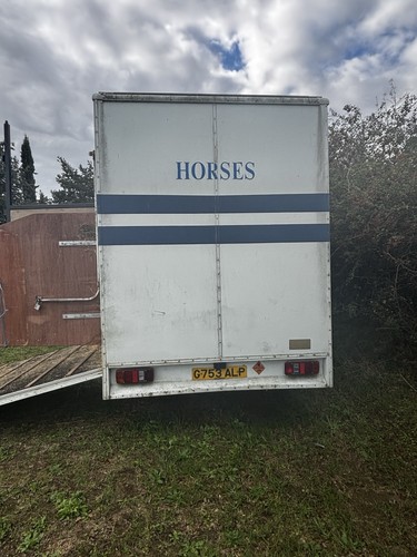 Horse box lt - vw,