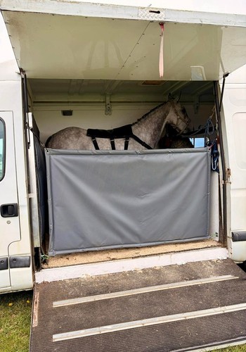 Horse box partition barrier - box,