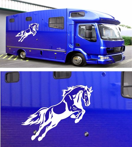 Horse box graphics - box, stickers