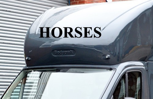 Horse box lettering - horse, vinyl