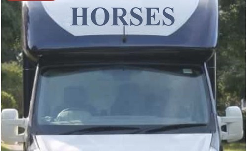 Horse box lettering - horse,