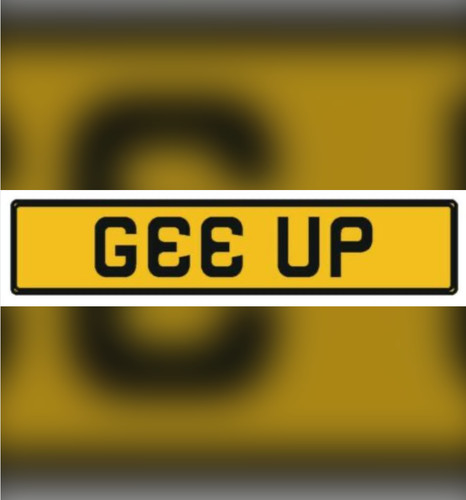 Gee the perfect show plate - ,