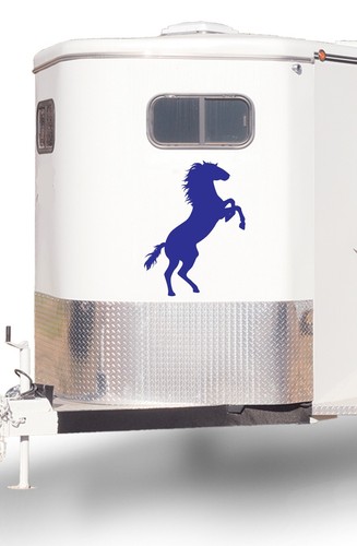 Horsebox motorhome horse box - motorhome,