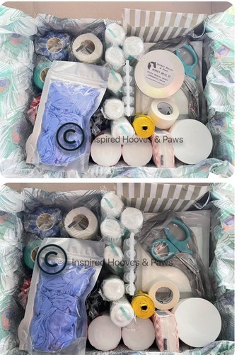 Equestrian horse box first aid - equestrian,