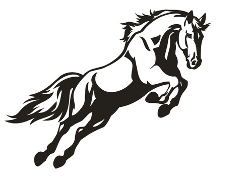 Xxl horse box horsebox - 36",